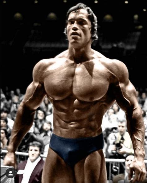 Arnold Schwarzeneggers Upper Body Workout Fitness And Power Arnold Bodybuilding Arnold