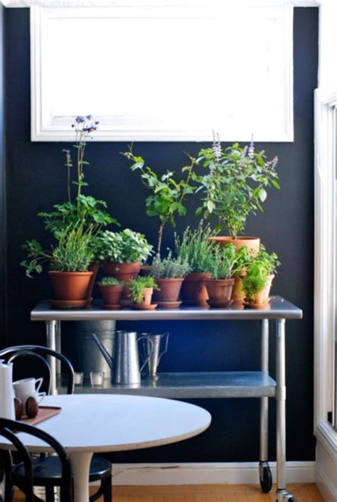 Phenomenal Indoor Herb Gardens 12thBlog