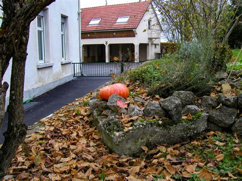 Commune De Neuwiller