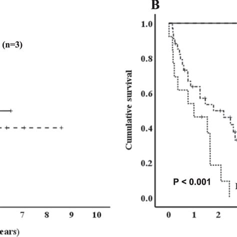 Prognostic Impact Of The Revised International Staging System R Iss