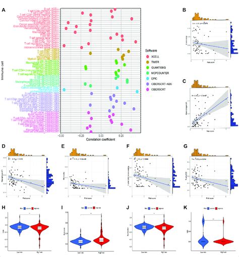 Immune Cell Infiltration Analysis Of Different Risk Groups P