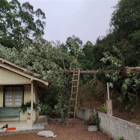 Rvore Cai Em Cima De Resid Ncia Ap S Temporal No Alto Vale Rede Web Tv