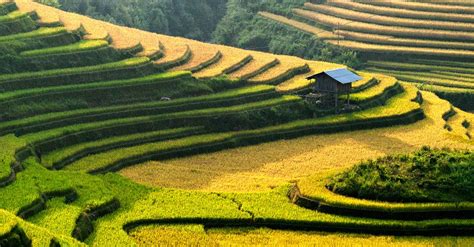 La Pan Tan Stunning Mountain Village Mu Cang Chai Vietnam Beauty Of