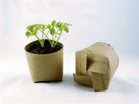 Toilet Paper Tube Seedling Starter Plants Garden Lawn Garden