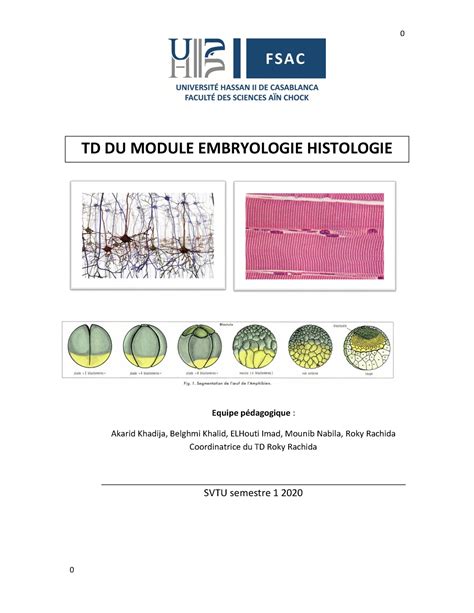 EMBRYOLOGIE HISTOLOGIE 0 TD DU MODULE EMBRYOLOGIE HISTOLOGIE Equipe