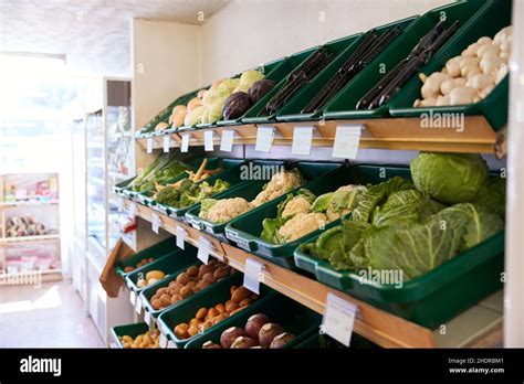 Vegetable Grocery Store Vegetables Grocers Grocery Stores Stock