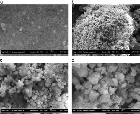 FESEM Images F TiO 2 Nanoparticles At Different Magni Fi Cations A