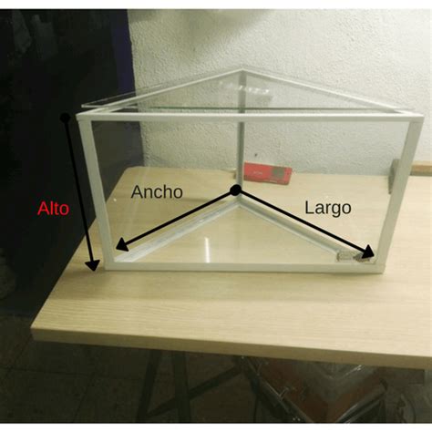 Calcula AQUÍ los litros de tu acuario Rápido y fácil