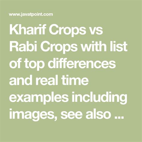 Kharif Crops Vs Rabi Crops What S The Difference Javatpoint