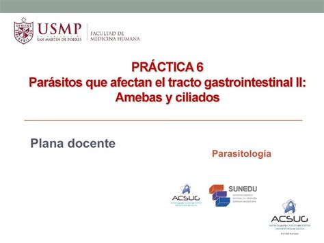 Par Sitos Que Afectan El Tracto Gastrointestinal Ii Emi Bullon Udocz