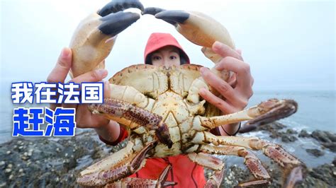 在法国赶海，湿身大战5斤重巨型螃蟹，大钳子够吓人 海鲜 趕海 法国 抓螃蟹 海边 Youtube