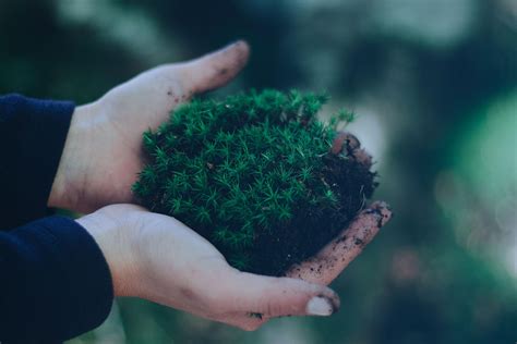 CCP Contribute to Carbon Neutral for Sustainable Future | C.C.P