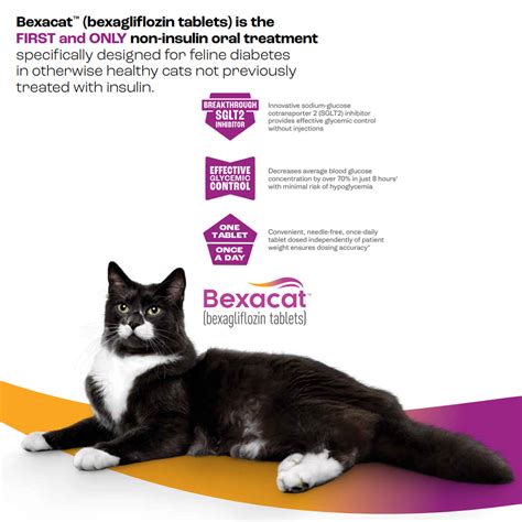 Bexacat Bexagliflozin Flavored Tablets For Cats 15 Mg 30 Tablets