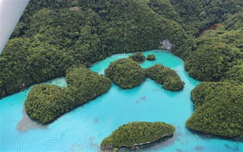 Singapore To Palau Alii Palau Airlines Launches Historic Route With