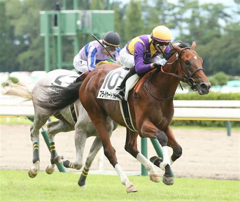 ＜新潟5r＞新馬戦を制した坂井騎乗のフライヤートゥルー （撮影・西川祐介） ― スポニチ Sponichi Annex ギャンブル