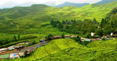 20 Tempat Wisata Alam Di Puncak Bogor Tempat Wisata Terbaik Di Indonesia