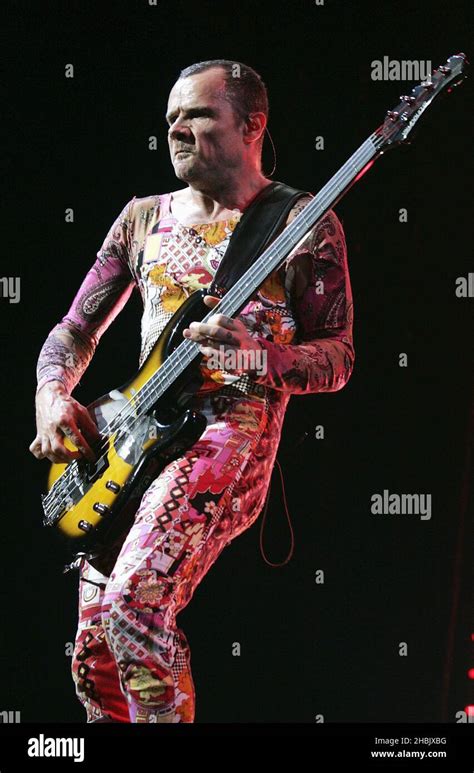 Flea Michael Balzary Of Red Hot Chili Peppers Live On Stage Stock Photo Alamy