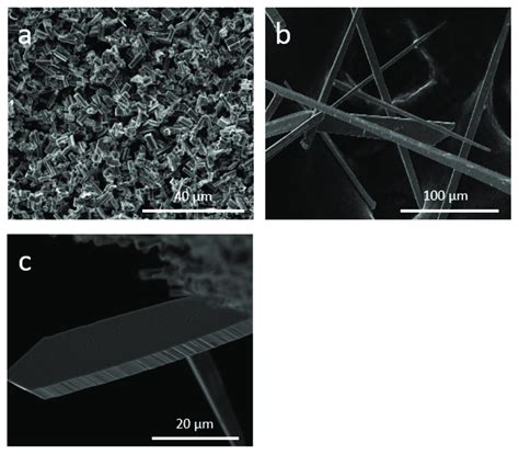 SEM Images Of The Structures Obtained On The Sample With 1 Wt Li A