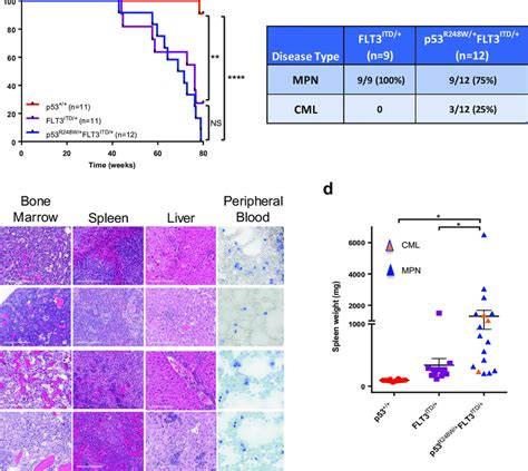 Mutant P53 Cooperates With FLT3 ITD In The Pathogenesis Of Myeloid