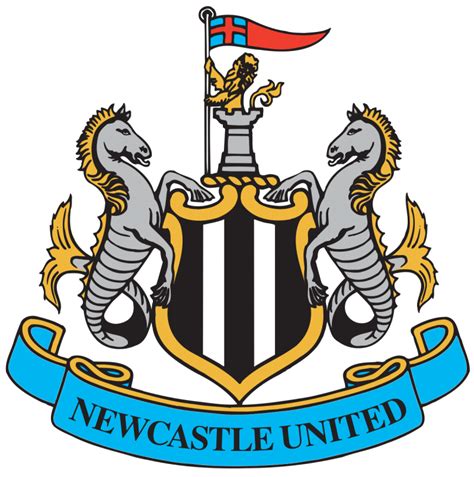 Căpitanul echipei Newcastle va lipsi de pe teren între şase şi nouă luni