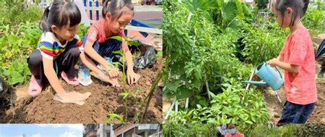 【阳光校园活力一小】 暑假生活 阳光成长游泳劳动刘燕芬