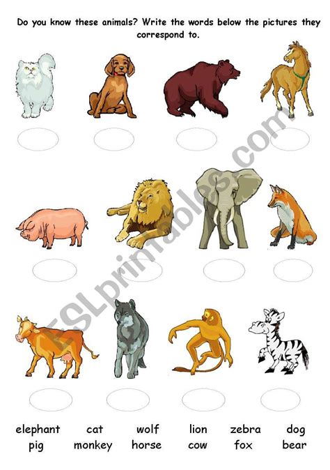 Animals´ Quiz Esl Worksheet By Zhenyab