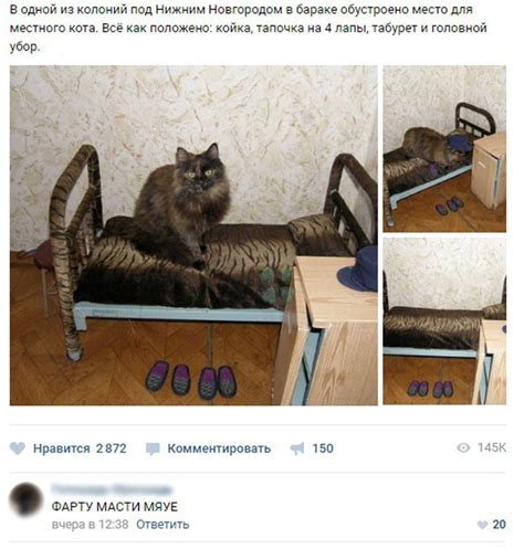 М.Я.У.Е | Пикабу