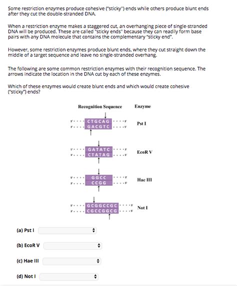 Solved Some Restriction Enzymes Produce Cohesive Stickyends