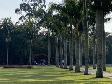 Cemit Rio Memorial Parque Das Cerejeiras S O Paulo