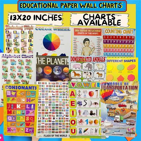 81012 Pcs Educational Charts Set Trending Early Learning Wall Basic