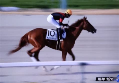 愛馬オブジェダートが人気に応え阪神で3勝目父オルフェーヴル 涙を馬のたてがみに心は遠い草原に