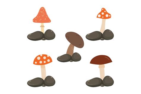 Mushroom Background Fresh Graphic By Dewibegja Creative Fabrica