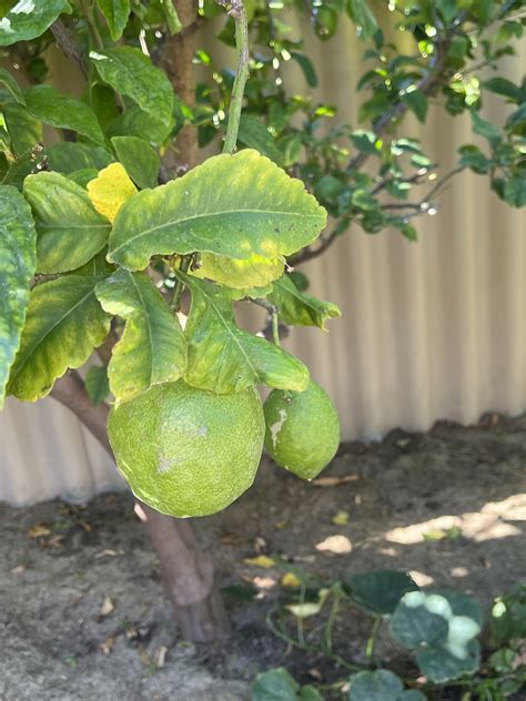 Commuters are venting about the mandurah stn parking situation 4