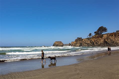 Seaside Beach - Mendocino Land Trust