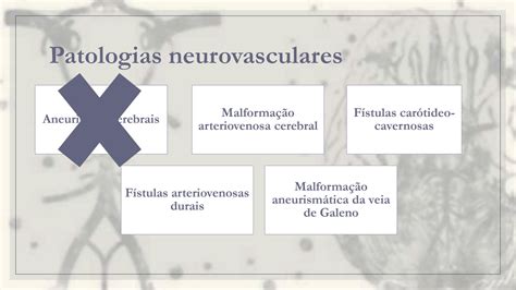 Solution Apresenta O Resumo Malforma Es Vasculares