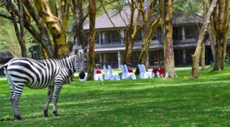 Naivasha Getaway At Enashipai Sopa Or Great Rift Valley Lodge