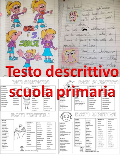 Testo Descrittivo Scuola Primaria Mappa Didattica Classi Terze Tc The