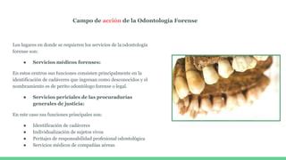 Odontologia Forense Ppt