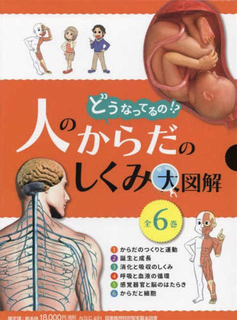 どうなってるの！？人のからだのしくみ大図解（全6巻セット） 坂井建雄 紀伊國屋書店ウェブストア｜オンライン書店｜本、雑誌の通販、電子書籍ストア