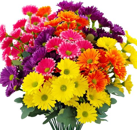 Amazon MUTCOLOR 8 Bundles Artificial Silk Gerber Daisy Flowers