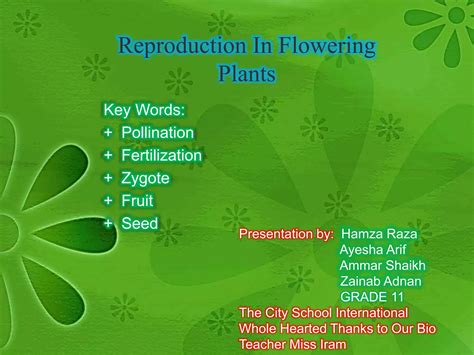 Double Fertilization Sexual Reproduction In Flowering Plants Ppt