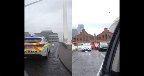 Stubborn Swan Causes Traffic Headaches In Dublin Before Gardaí Called