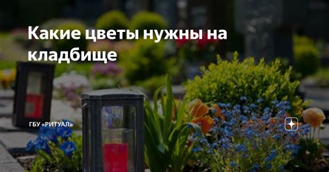 Какие цветы нужны на кладбище | GOSMOSRITUAL | Дзен