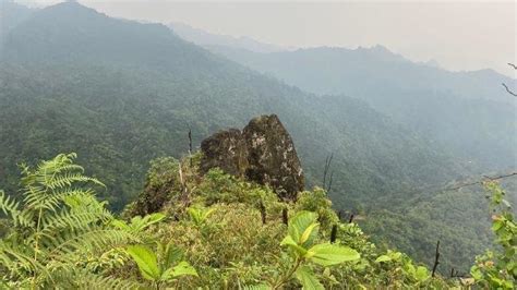 Cocok Buat Pendaki Pemula Mendaki Gunung Kuta Di Desa Cibadak