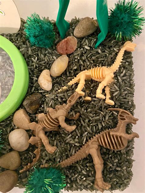 Dinosaur Sensory Bin Dinosaur Sensory Kit Dinosaur Etsy