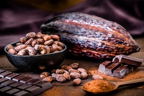 En Su Día ¡conoce Los Beneficios Del Cacao Vivir Mejor