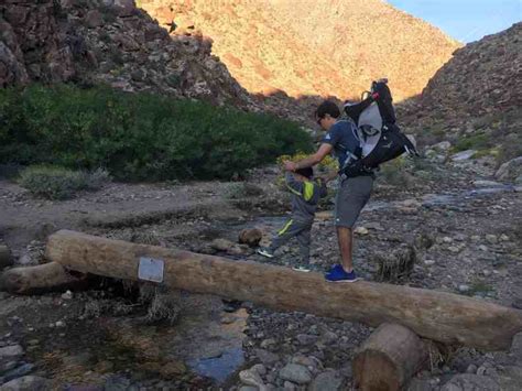 BORREGO SPRINGS HIKING - PALM CANYON - Mile Marker Memories