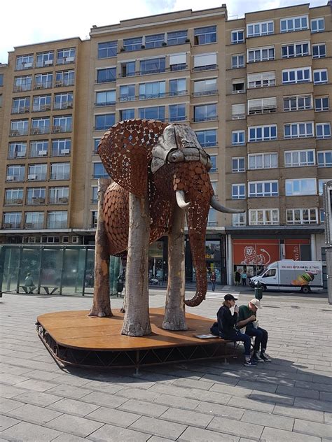 Kunst Kan De Wereld Redden Kijk Naar The Weeping Elephant” Op Flagey