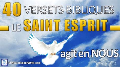 40 Versets Bibliques Sur L Action Du Saint Esprit En Nous