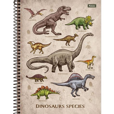 Caderno Espiral Capa Dura Universit Rio Sauros Foroni Folhas